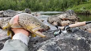 Lapimaa Kalareis 2019