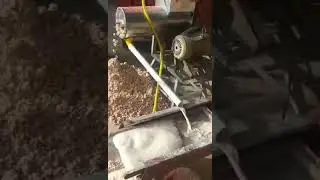 cassava flour production