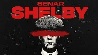 SENAR - SHELBY 