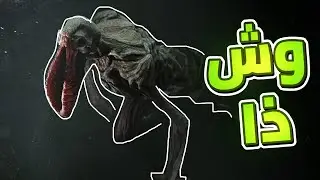 وش الوحش هذا 😵‍💫