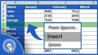 How to Insert Row in Excel | MS Excel Tutorial #29