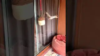 Побег со склада 😂 
