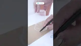 Ide Permainan Seru! Kasih Makan Hewan, Tingkatkan Konsentrasi Anak