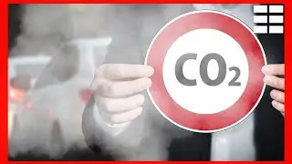 🔥 LAS INEXPLICABLES CONTRADICCIONES de la LUCHA CONTRA EL CO2