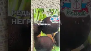 #нигер