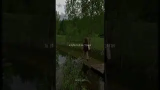 Вокруг бл*ды паскуды! 