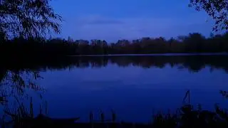 Dave Lane Carp Blog - Osama Bin Laney
