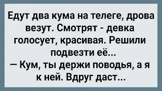 Как Два Кума На Телеге Дрова Везли! Сборник Свежих Анекдотов! Юмор!