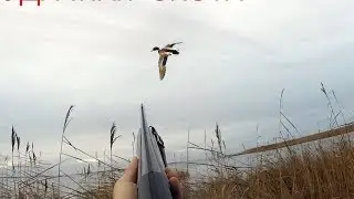 Охота на утку. Налет за налётом....
