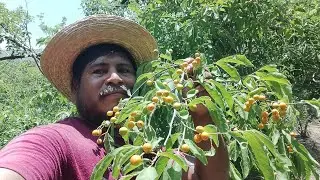 😱esto si te sorprendera 🍒,el potro me la iso 😔