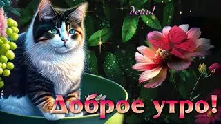 Утра Доброго Желаю!День Хорошим Будет Пусть!