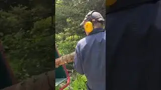Tractor-Mounted Wood Chipper in Action!