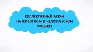 Коллективный разум на животном и человеческом уровнях