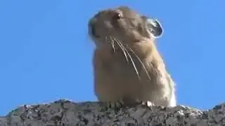 24 de diciembre de 2019