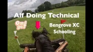 Bengrove XC Schooling July 2023. Alf