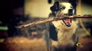 Gold Rush Titles / Intro - Season 2
