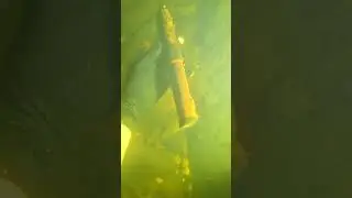 Found Criminal Evidence Underwater While Scuba Diving!