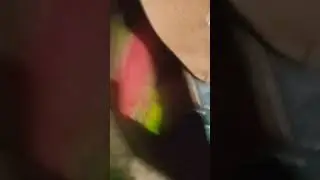 my cat is on a party