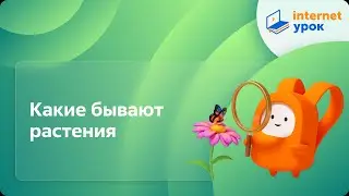 Какие бывают растения. Видеоурок по окружающему миру 2  класс