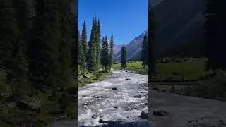 See the beauty of nature #shorts #india #kashmir