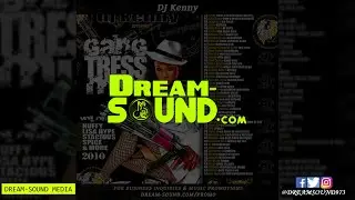 DJ Kenny - Gangstress Vol. 1 (Dancehall Mix 2010 Ft Mavado, Vybz Kartel, Merital, Cobra, Crimist)