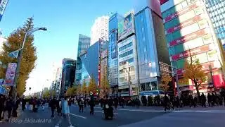 🔴Moe Moe Kyun Tokyo 24/7🐶Akihabara, Asakusa, Shinjuku, etc.
