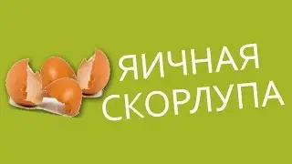 Польза яичной скорлупы. Как восполнить недостаток кальция.