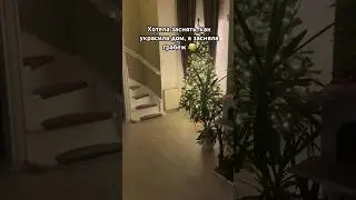 Новогодний грабеж 😂 #тайскаякошка #кошкаСима