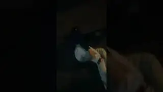 aksi begal d magelang d tabrak sopir(2)