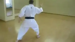 kata HYAKUHACHIHO karate shotokan