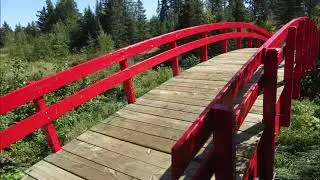 Cabin Lake Trail - New Bridge - Henry's Hikes - September 10, 2020