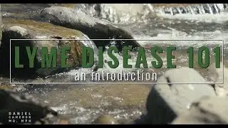 Lyme Disease 101: An Introduction