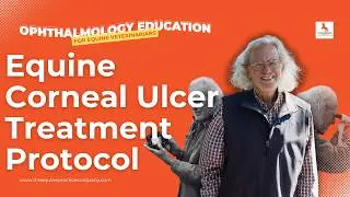 Equine Corneal Ulcer Treatment Protocol: Fast & Effective Healing