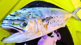 My Kayak Got Swarmed By Mahi!