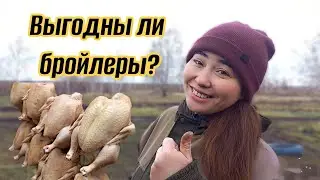 How much did we EARN on BROILERS? Our first season