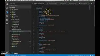 Figuring out how to use Docker with my Flask app