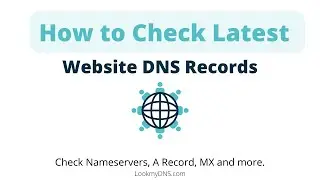 How to Check DNS records of your website - LookmyDNS com