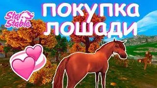ПОКУПКА ЛОШАДИ! Я ВЕРНУЛАСЬ | Star Stable Online | Liza Star