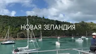 Новая Зеландия: один день на острове Уайхеке