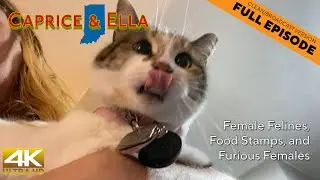 Female Felines, Food Stamps, & Furious Females | Caprice & Ella 804 Clean