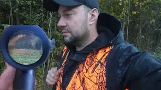 Охота загоном на Лося с прицелом Artelv 1-8/24