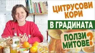 Обелки от цитруси в градината и компоста – митове и реалност.