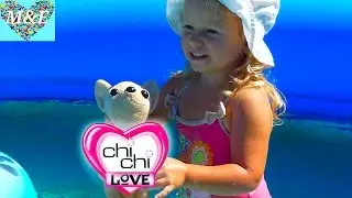 Собачка Chi chi Love учится плавать