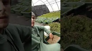 Работаю без выходных
