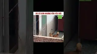Có tất cả những Clip hay Triệu View TikTok Trung Quốc (P 362) #shorts #shortsvideo
