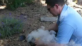 Best bee smoker fuel.