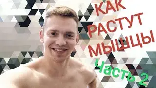 Серия 54. Как растут мышцы? Теория разрушения, накопления.
