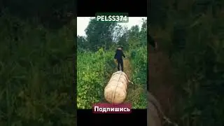 #пашапэл #automobile #менты #спецназ