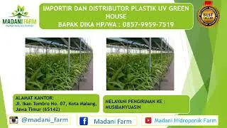 Jual Plastik Uv Di 12, Jual Plastik Uv Di 200 Micron HP/WA.0857-9959-7519(BAPAK DIKA)