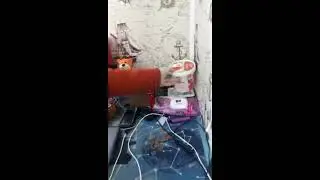 Задержание дилера в Новодвинске